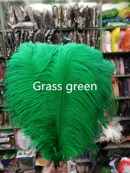 100 vnt Žolė žalia stručio plunksnų 45-50 cm / 18-20 cm stručių plunksnų vestuvių šventė apdaila