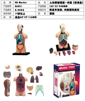 4D Mokslo Surinkti Blokai Žmogaus Kūno Skeletas, Zombie mkd3 Kaukolės Smegenų Liemens Širdies Anatomija Modelis Įspūdį Medicinos Mokslo Žaislai