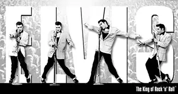 Beviltiška Įmonių Elvis Presley, - Savo Alavo Pasirašyti Metalo Dažymo Indas Ženklas, Sienų Dekoras Valdybos Retro Pub & Bar Alavo Plakatas
