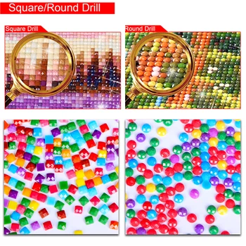 Diamond Tapyba Visą gręžimo kvadratinių/apvalus Dviejų įdomių pelių Mozaika 