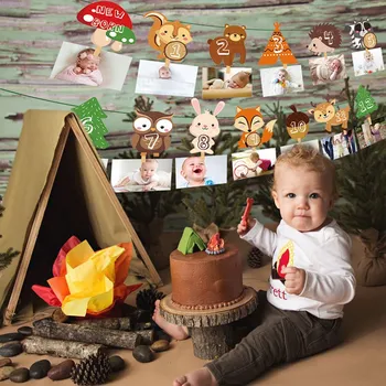 Kūdikių Dušas, Džiunglių Gyvūnų, Miško Šalies Baneriai Miško Pelėda Meškėnas Fox Kids Foto Dispaly Reklama Gimtadienio Prekes