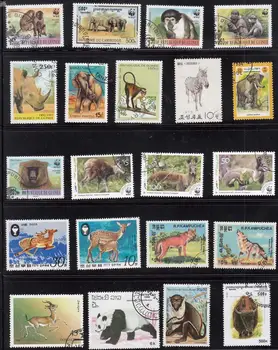 Naujas 50Pcs/Daug Laukinių Gyvūnų, Dramblys, Beždžionė Visais Skiriasi Nuo Daugelyje Šalių NE Kartoti neantspauduoti Pašto Ženklų Kolekcionavimas