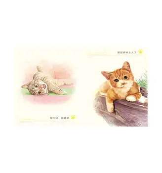 Spalvos Pieštuku Kačių Rojus Spalvinimo Knygelė 101 Super Mielas Kačiukai Eskizas Piešimo Pamoka Meno Knyga
