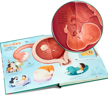 Vaikų 3D Pop-UP Book Žmogaus Kūno Struktūrą, Popular Science 