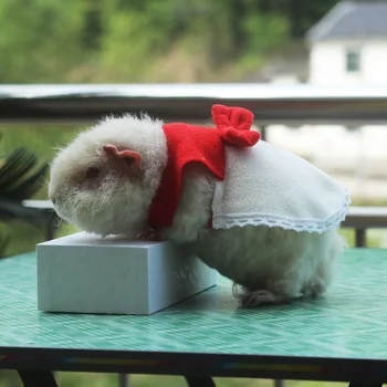 Žiurkėno drabužius olandų kiaulių drabužius velnias voverės suknelė mažų gyvūnėlių sijonas smulkių naminių gyvūnų fotografavimo rekvizitai drabužiai