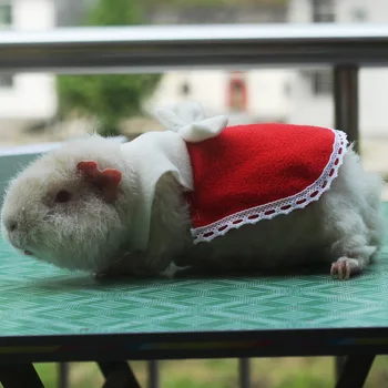 Žiurkėno drabužius olandų kiaulių drabužius velnias voverės suknelė mažų gyvūnėlių sijonas smulkių naminių gyvūnų fotografavimo rekvizitai drabužiai